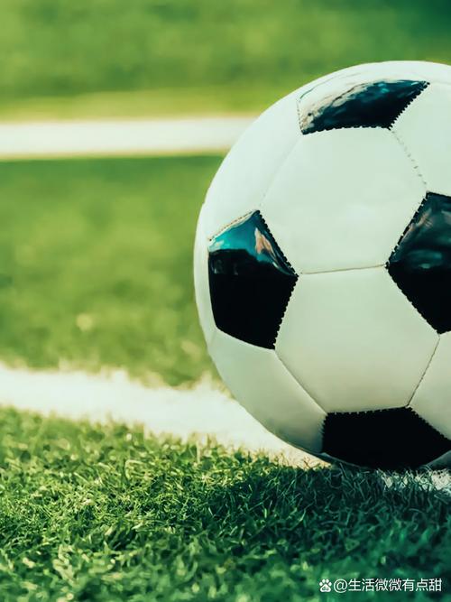 体育爱好者使用雷速4.1版本场景